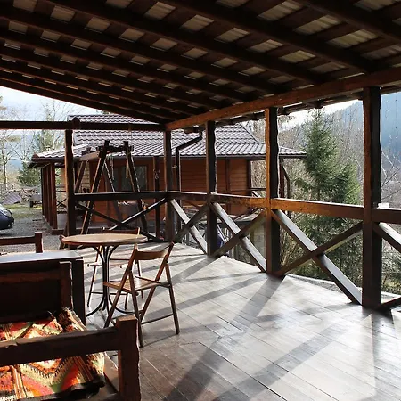 чан-садиба гуцульська пісня マイコリチン