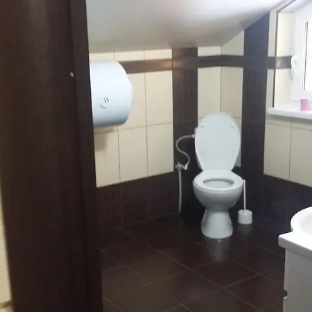 чан-садиба гуцульська пісня ロッジ